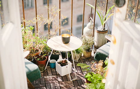 gray cup at the center of white table thumbnail