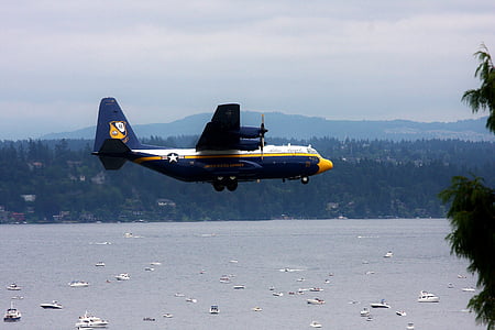 blue and yellow airplane in flight thumbnail