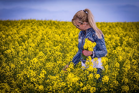 woman picking yellow flowers during daytime thumbnail