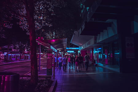 people standing beside street thumbnail