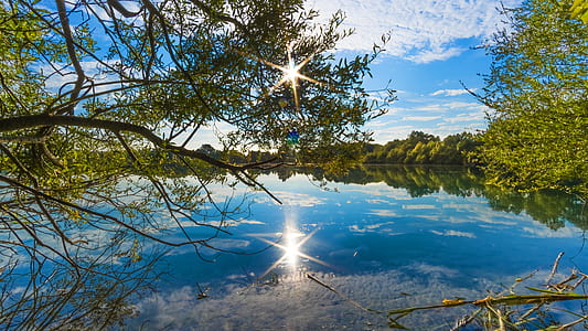 photography of body of water under green leaf tree and white clouds thumbnail