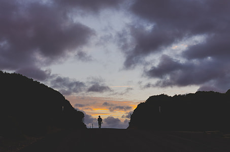 silhouette of standing man between trees thumbnail