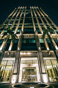 city, lights, building, trees thumbnail