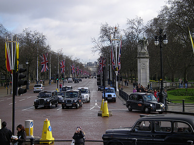 people walking on street near trees and vehicles thumbnail