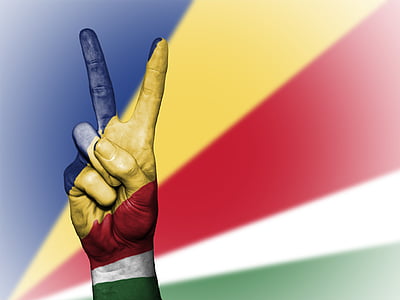 person showing peace sign thumbnail