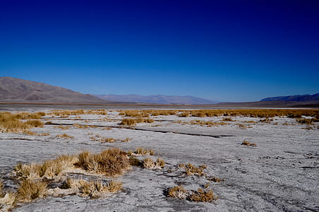 photo of plain field under clear blue sky thumbnail