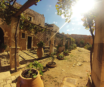 vase with plant near building at daytime photoi thumbnail