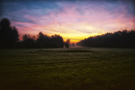 green grass field during sunset thumbnail