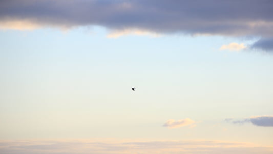 clear blue sky thumbnail