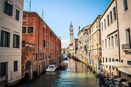 Venice Canal at daytime thumbnail