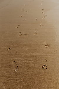 Footprints on a sandy beach, Portugal thumbnail
