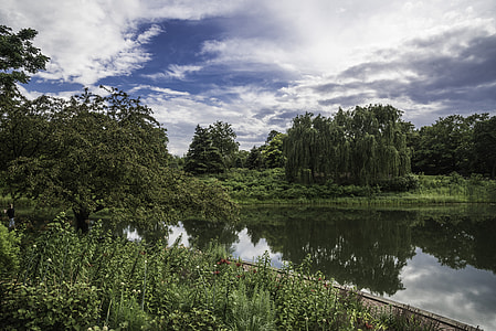 Small Pond with lots of plants in Chicago Botanical Gardens thumbnail