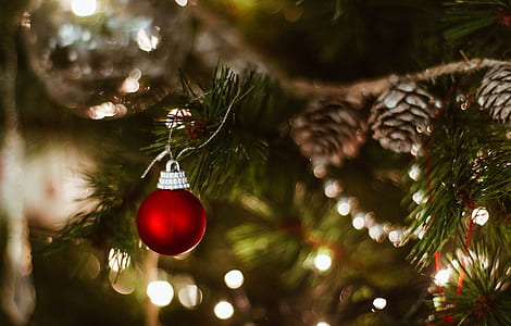 close-up photo of red baubles thumbnail