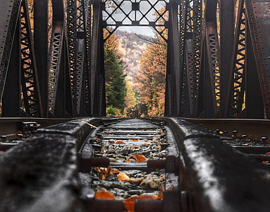 photography of gray concrete bridge thumbnail