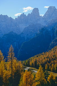Bird's Eye View Photography thumbnail