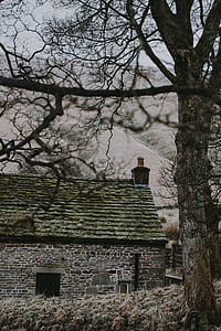 house near tree and mountain at daytime thumbnail