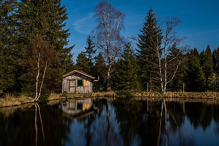 brown wooden house surrounded by trees thumbnail