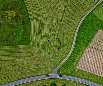 aerial photo of road near green plants thumbnail