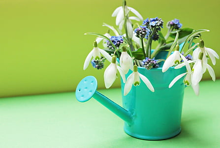 focused photo of watering can and white and purple flowers thumbnail