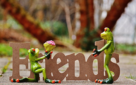 friends with two green frogs signage thumbnail