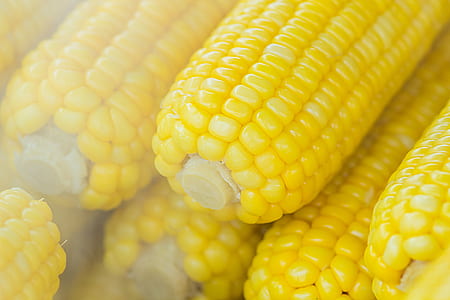 Pile of Sweet Corns thumbnail