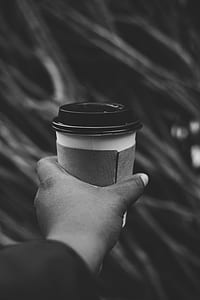 person holding disposable cup thumbnail