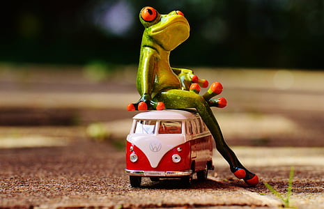 green frog sitting on white and red Volkswagen T1 die-cast model on ground thumbnail