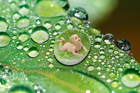baby on water dew illustration thumbnail