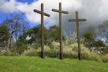 three brown wooden cross near green grass during daytime thumbnail