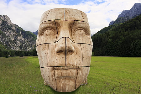 photo of brown wooden human's face on top of green grass during daytime thumbnail