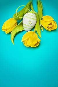 three ylelow flowers thumbnail