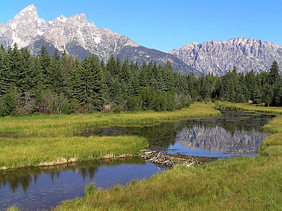 pine trees near mountain range and body of water at daytime thumbnail