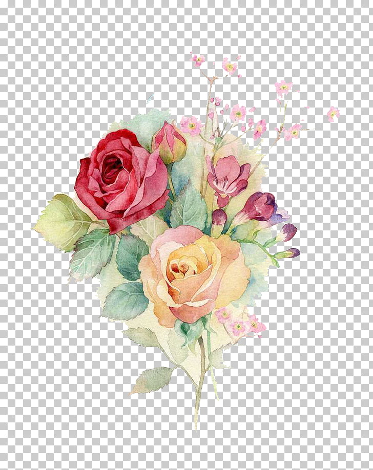 Centifolia roses Garden roses Floral design Flower bouquet Cut flowers, Watercolor flowers, pink and yellow petaled flowers PNG clipart