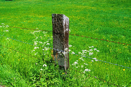 Old Wood Columns, Rusted Wire Fence thumbnail