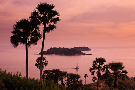 island, water, sea, ocean, tree thumbnail