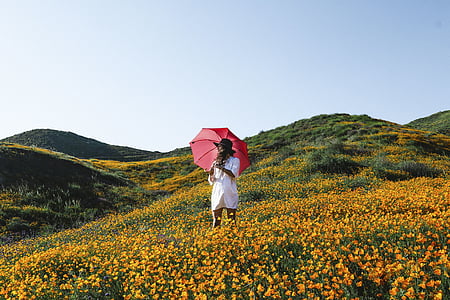 person holding red umbrella thumbnail