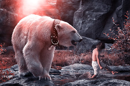 polar bear following walking child thumbnail