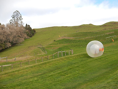 zorb ball on green grass field thumbnail