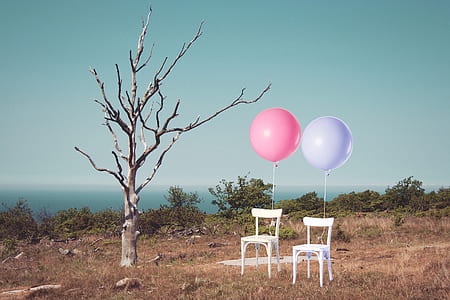 two white armless chairs with pink and purple balloons thumbnail