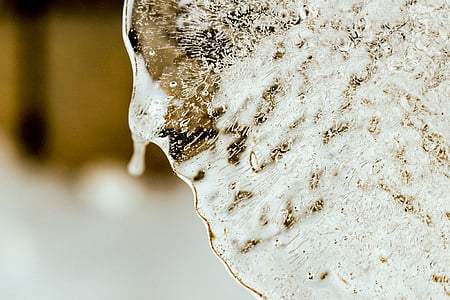 abstract, close-up, cold, color, dawn thumbnail