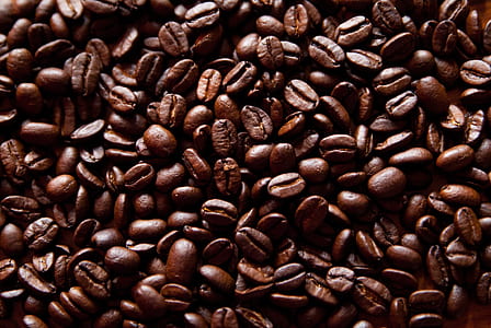 coffee bean thumbnail