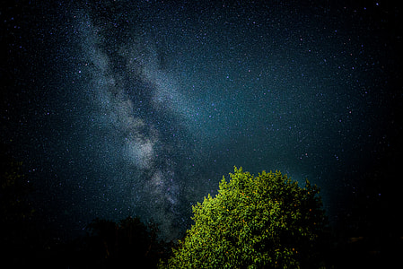 green tree under night time thumbnail