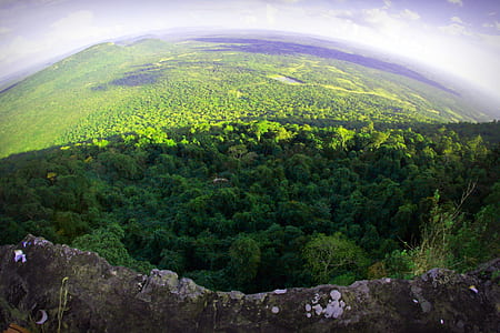 landscape, nature, clouds, forest thumbnail