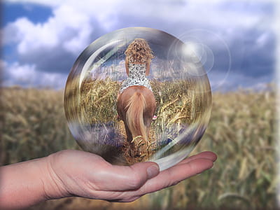 woman rides brown horse thumbnail