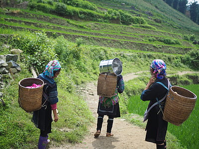 three person carrying baskets thumbnail