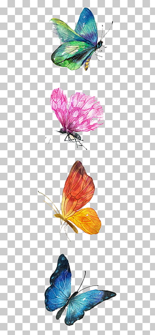 Butterfly Drawing Watercolor painting Illustration, butterfly, four assorted-color butterflies illutration PNG clipart