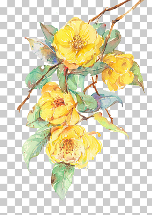 Flower Yellow Computer file, Yellow flowers, yellow petaled flower PNG clipart