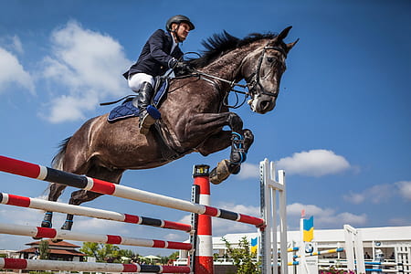 man riding a horse while doing stunt thumbnail
