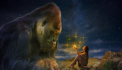 Gorilla and woman sitting on surface animated photo thumbnail