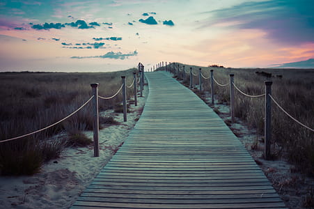 bridge, walkway, path, nature, walk, pathway thumbnail